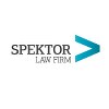 Spektor law firm